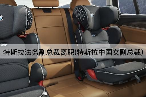 特斯拉法务副总裁离职(特斯拉中国女副总裁)