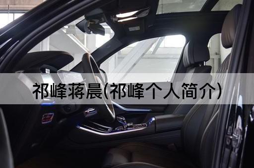 祁峰蒋晨(祁峰个人简介)