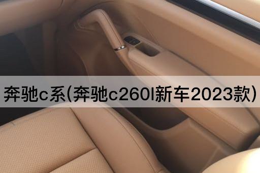 奔驰C系(奔驰C260L2023款豪华版)