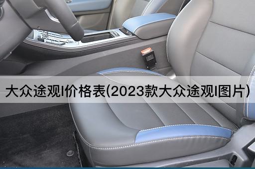 大众途观L价格表(2024款大众途观L)