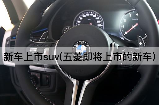 新车上市SUV(五菱即将发布的新车型)