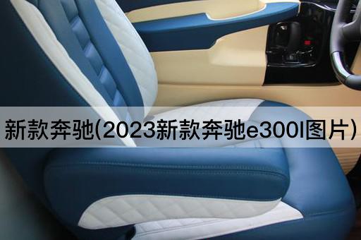 新款奔驰(2024全新奔驰E300L)