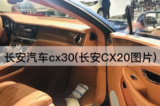 长安汽车CX30(长安CX20升级版)