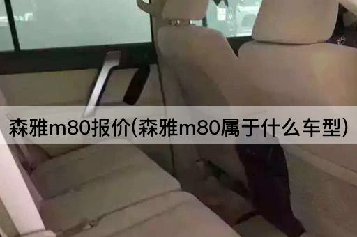 森雅m80报价(森雅m80属于什么车型)