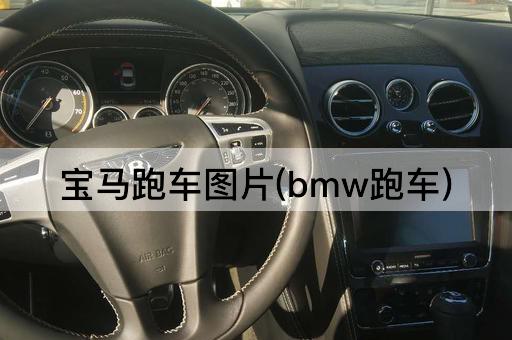 宝马跑车*(bmw跑车)