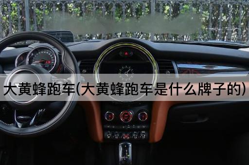 大黄蜂跑车(大黄蜂跑车是什么牌子的)