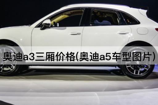 奥迪a3三厢价格(奥迪a5车型图片)