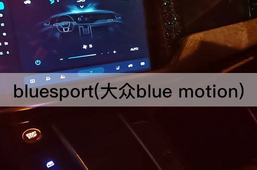 bluesport(大众blue motion)