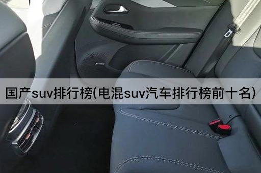 国产suv排行榜(电混suv汽车排行榜前十名)