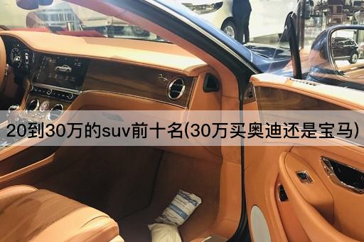 20到30万的suv前十名(30万买奥迪还是宝马)