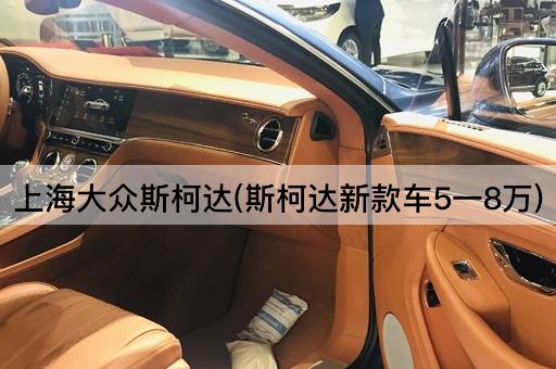 上海大众斯柯达(斯柯达新款车5一8万)