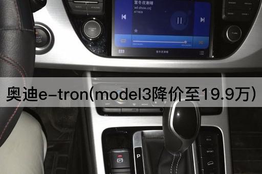 奥迪e-tron(model3降价至19.9万)