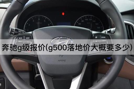 奔驰g级报价(g500落地价大概要多少)