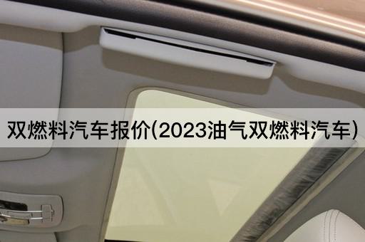 双燃料汽车报价(2023油气双燃料汽车)