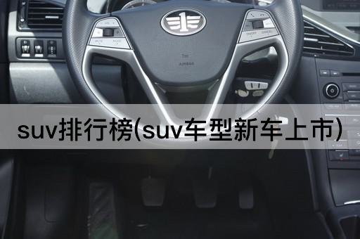 suv排行榜(suv车型新车上市)