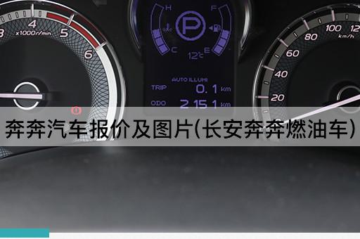 奔奔汽车报价及图片(长安奔奔燃油车)