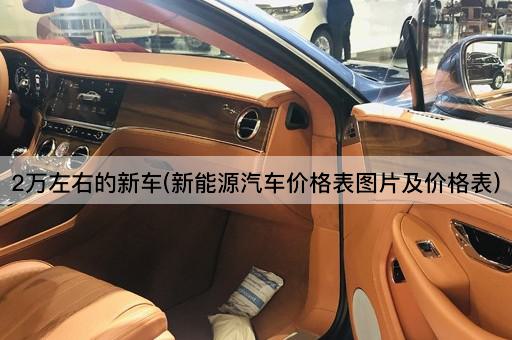 2万左右的新车(新能源汽车价格表图片及价格表)