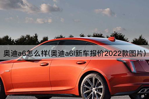 奥迪a6怎么样(奥迪a6l新车报价2022款图片)