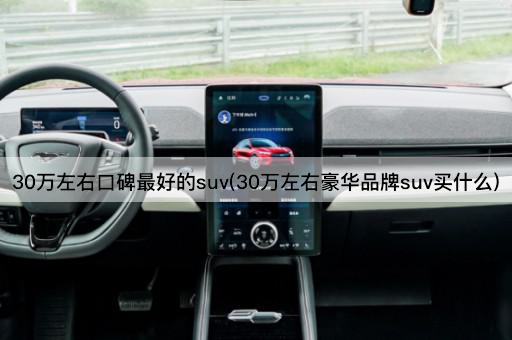 30万左右口碑最好的suv(30万左右豪华品牌suv买什么)