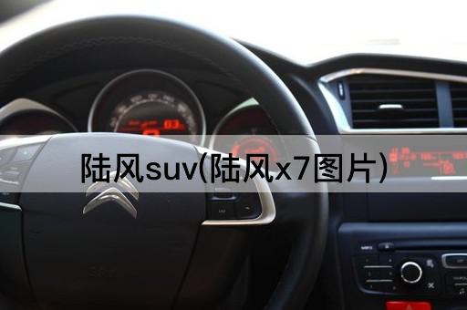 陆风suv(陆风x7图片)