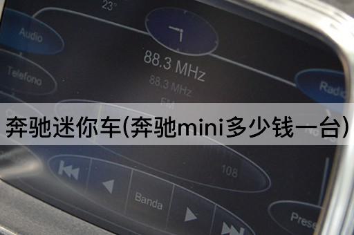 奔驰迷你车(奔驰mini多少钱一台)