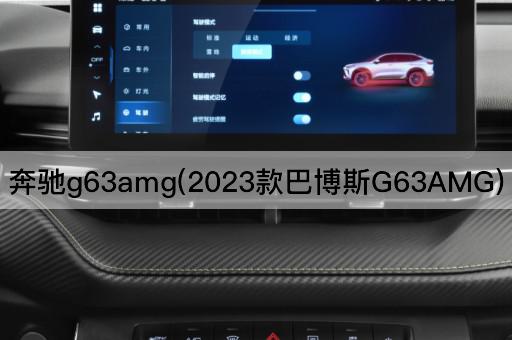 奔驰g63amg(2023款巴博斯G63AMG)