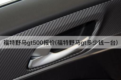 福特野马gt500报价(福特野马gt多少钱一台)