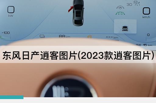 东风日产逍客图片(2023款逍客图片)