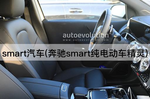 smart汽车(奔驰smart纯电动车精灵)