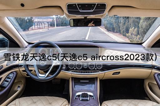 雪铁龙天逸c5(天逸c5 aircross2023款)