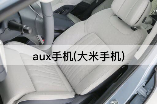 aux手机(大米手机)