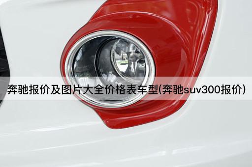 奔驰报价及图片大全价格表车型(奔驰suv300报价)