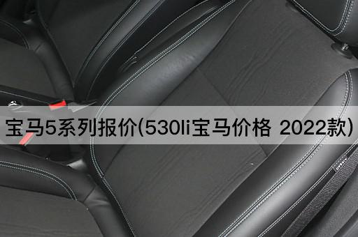 宝马5系列报价(530li宝马价格 2022款)