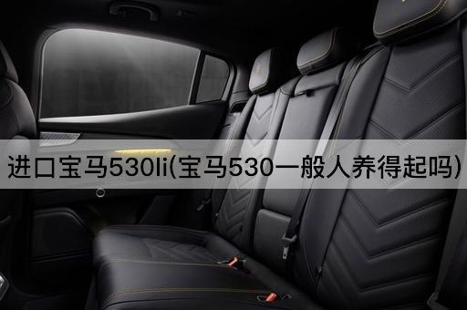 进口宝马530li(宝马530一般人养得起吗)