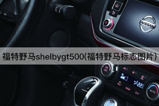 福特野马shelbygt500(福特野马标志图片)