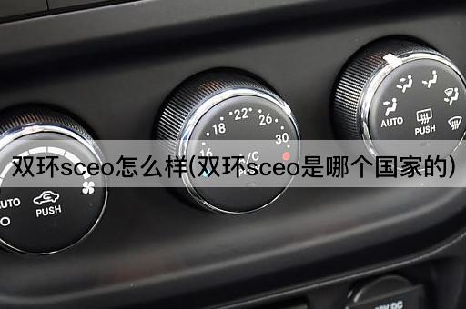 双环sceo怎么样(双环sceo是哪个国家的)