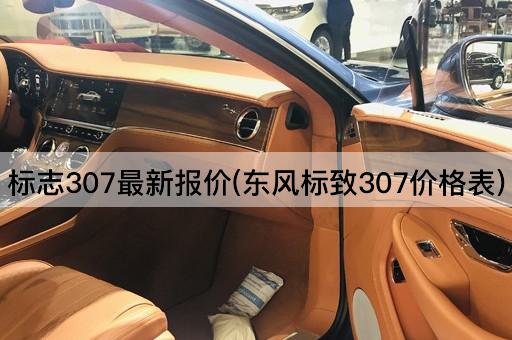 标志307最新报价(东风标致307价格表)