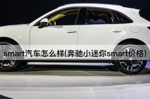 smart汽车怎么样(奔驰小迷你smart价格)