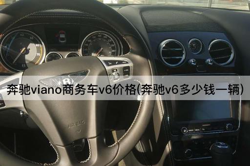 奔驰viano商务车v6价格(奔驰v6多少钱一辆)