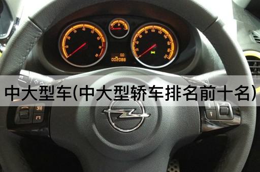 中大型车(中大型轿车排名前十名)