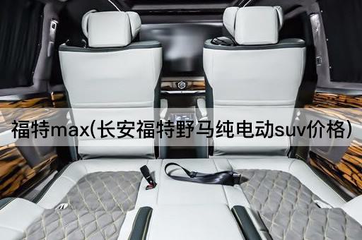 福特max(长安福特野马纯电动suv价格)