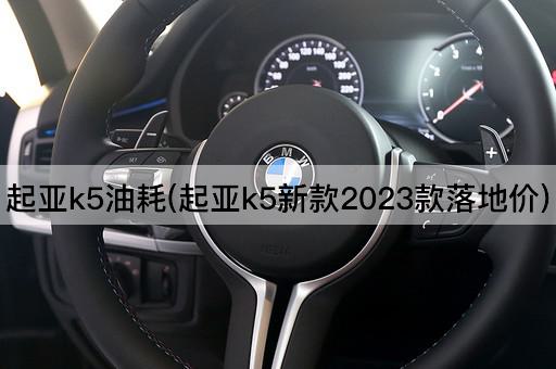 起亚k5油耗(起亚k5新款2023款落地价)