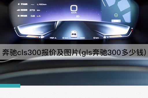 奔驰cls300报价及图片(gls奔驰300多少钱)