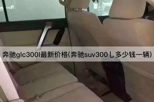 奔驰glc300l最新价格(奔驰suv300乚多少钱一辆)