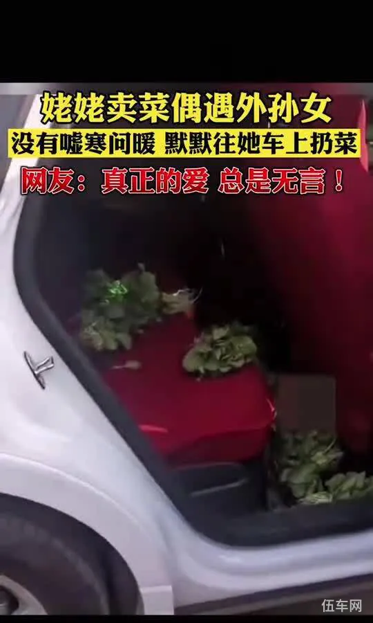 自己卖车上哪个网站(预约看车)