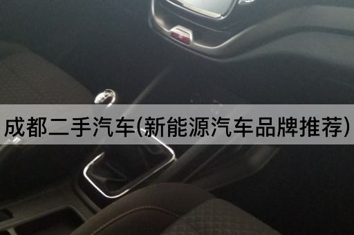 成都二手汽车(新能源汽车品牌推荐)