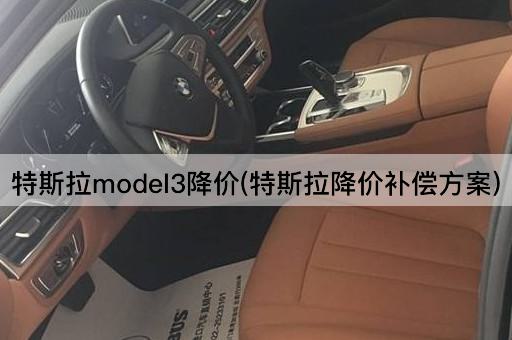 特斯拉model3降价(特斯拉降价补偿方案)