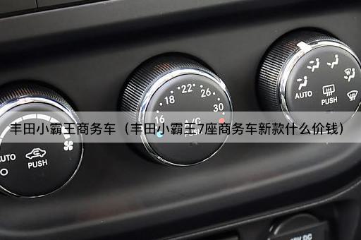 丰田小霸王商务车（丰田小霸王7座商务车新款什么价钱）