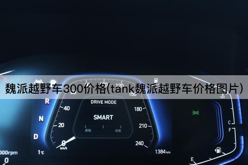 魏派越野车300价格(tank魏派越野车价格图片)