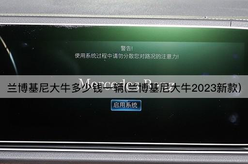 兰博基尼大牛多少钱一辆(兰博基尼大牛2023新款)